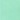 1006 Lime