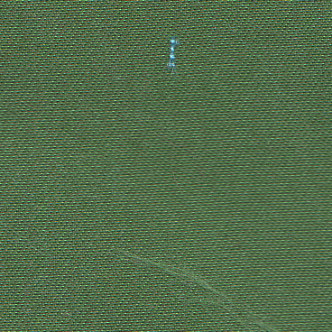 1019 Bottle Green mt_ignore