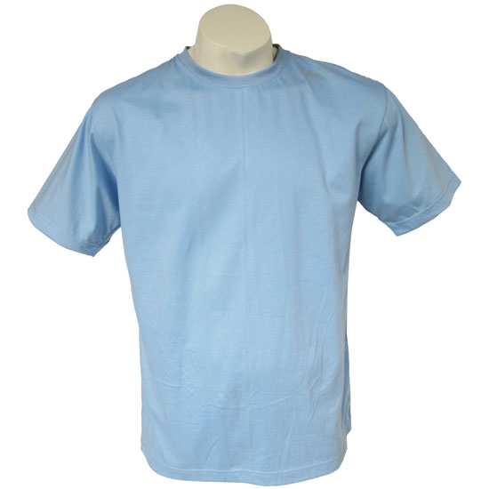 T01S C2031 Large