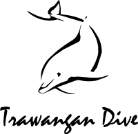 Trawangan Dive Logo