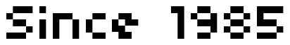Font 04b03rev: Since 1985