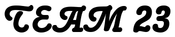 Font Poppl-College-R-2-Bold: TEAM 23