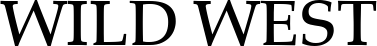 Palatino LT Medium font on a custom t-shirt