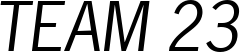 NewsGothic Oblique font on a custom t-shirt