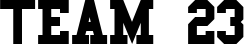 SPORT SPIRIT AF font on a custom t-shirt
