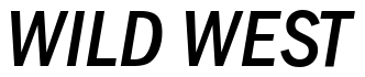 Font MVGothicCond-BoldItalic preview