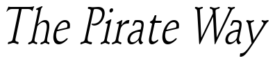 Font Schroeder-Condensed-Italic 2 preview