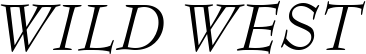 Monitor SSi Italic font on a custom t-shirt