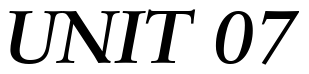 Font 12Sabon-14232-Bold-Italic: UNIT 07