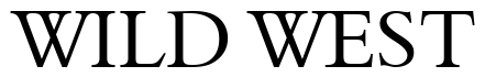 Font 00243 preview