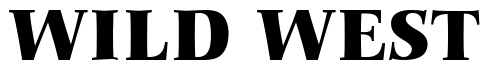 Font 00230 preview