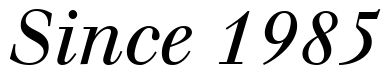 Font 12-Walbaum-Italic-13263 preview