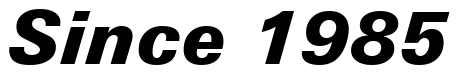 Font Zurich-Black-Italic-BT preview