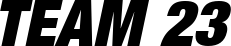 Helvetica LT 107 Extra Black Condensed Oblique font on a custom t-shirt
