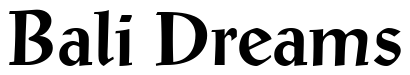 Font 12-Post-Antiqua-Bold-07554 preview