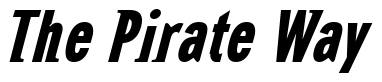 Font NewGlobalHeavy-Italic 2 preview