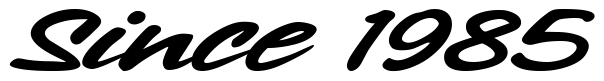 Font 1-Chicago-Style-DNA: Since 1985