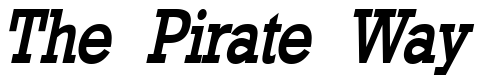 Font Geo-986-Condensed-Bold-Italic 2 preview