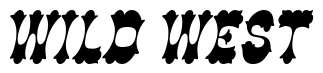 Font Cowboy-Thin-Italic preview