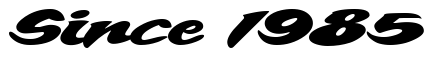 Font 1-BigCheese-DNA preview