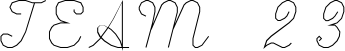 ScriptS font on a custom t-shirt