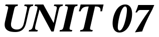 Font 12-Concorde-Bold-Italic-14319: UNIT 07