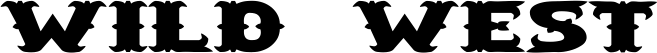 SaloonExt Wd font on a custom t-shirt