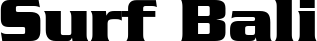 Geodet Display SSi font on a custom t-shirt