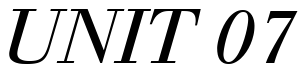 Font 12-Walbaum-Italic-13263: UNIT 07