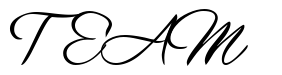 Font 1-Journeyman-DNA preview