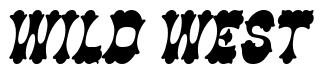 Font Cowboy-Thin-BoldItalic preview
