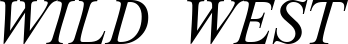 CyrillicEnglishTimesSSK Italic font on a custom t-shirt