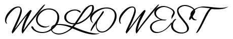 Font 1-Journeyman-DNA: WILD WEST