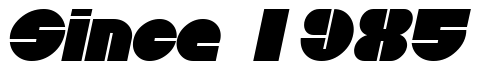 Font Discotheque-Italic: Since 1985