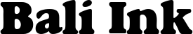 GourmetHeavyDB Normal font on a custom t-shirt