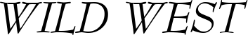 BernhardModern RegularItalic font on a custom t-shirt