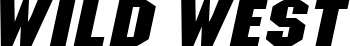 MetalEncasementExtended Italic font on a custom t-shirt