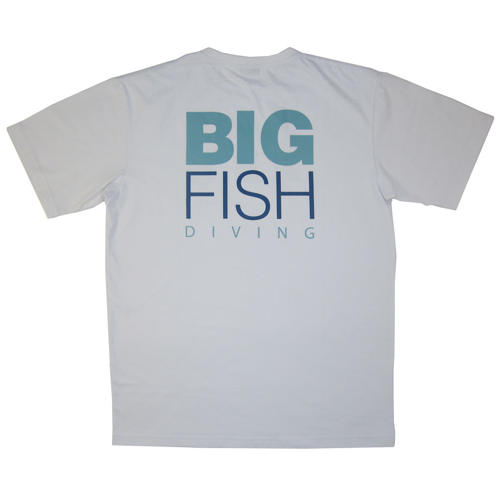 big fish diving lembongan island bali