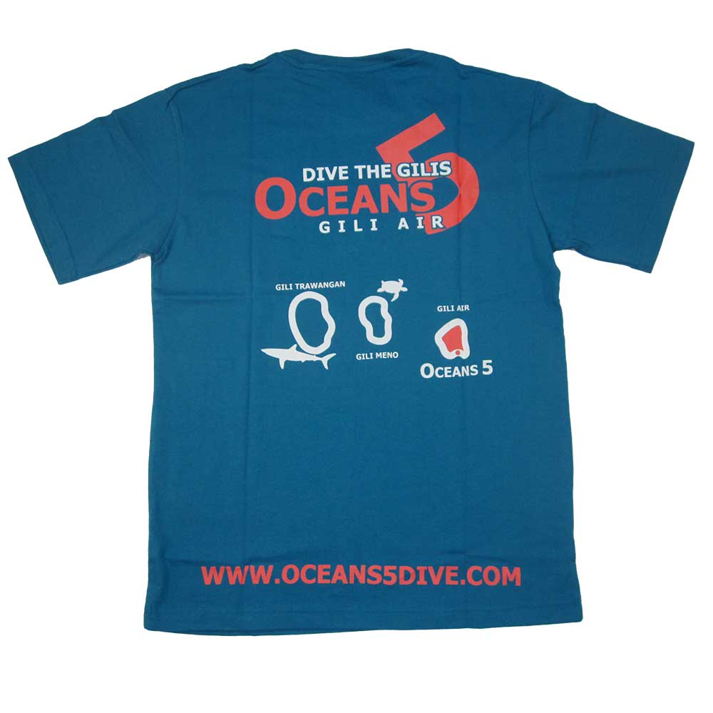 dive the gilis oceans 5 gili air