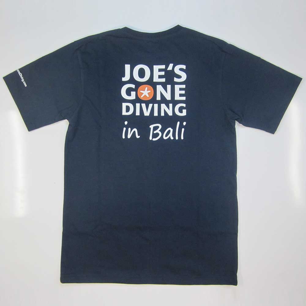 joe gone diving in bali