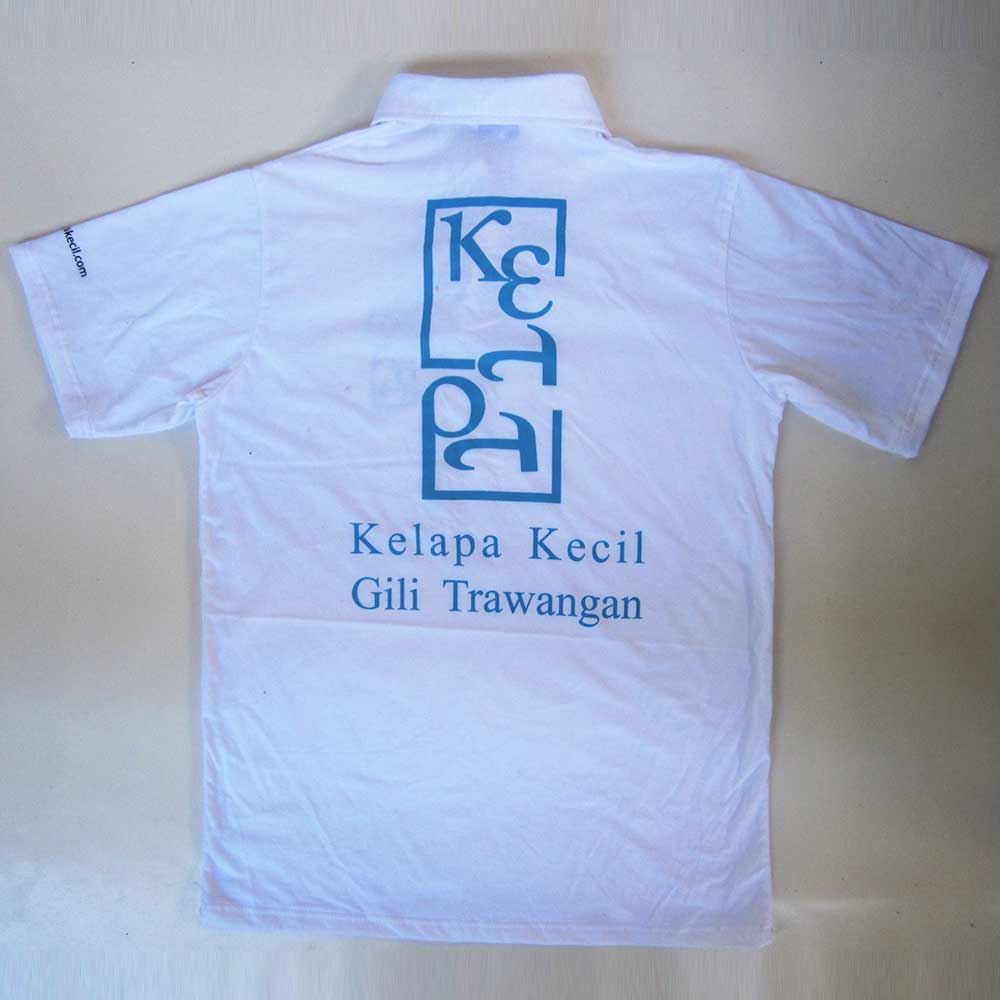 kelapa kecil gili trawangan