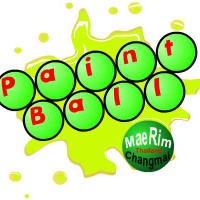 Logo Paintball