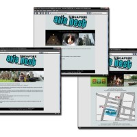 Websites Alis Nest