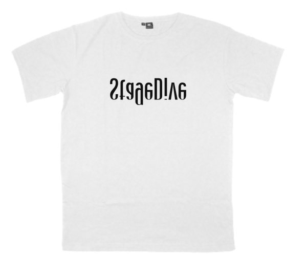 StageDive printed on a t-shirt